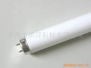技术开发;机电产品一体化;新型建筑材料;建筑结构体系;建筑施工技术和设备;交电零售兼批发;特种电光源;照明_冷阴极荧光灯 直型荧光灯管 _中国 天津 天津市 南开区白堤路248号601-605室_天津市英泽科技_