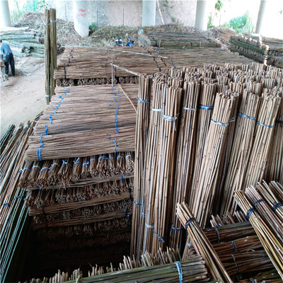 大量批发葛根竹竿葛根搭架用的小竹竿