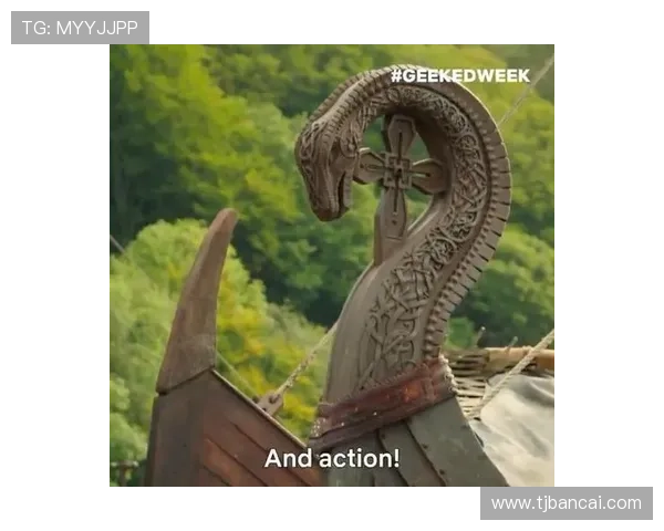 维京传奇：不止是征服，更是豆瓣评分里的人性史诗